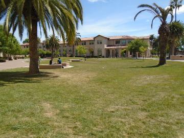 A grassy area with palm trees and a building in the background.