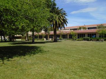 Grassy field with trees near a mall building on a sunny day.