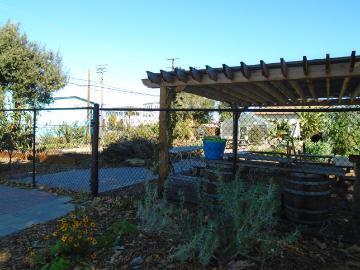 Alt text: Garden with a pergola structure and various plants, titled 