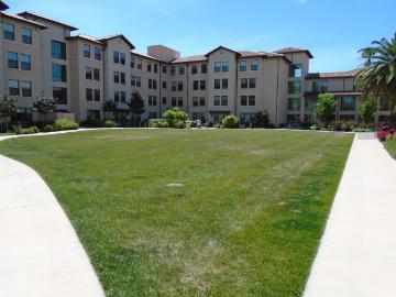 A green quad area surrounded by multi-story residential buildings.