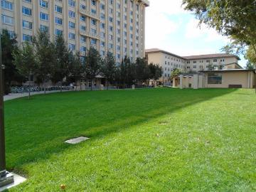 Wide grassy area with trees and a multi-story building in the background.