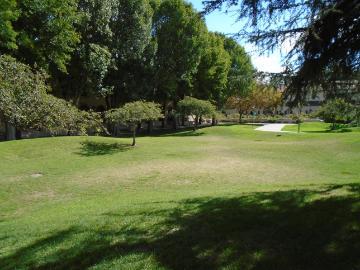 A vast grassy lawn surrounded by trees and bushes under a clear blue sky.