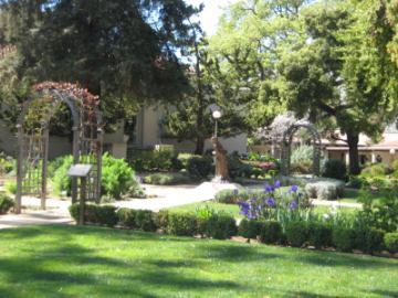 A tranquil garden with trees, shrubs, and a winding path.