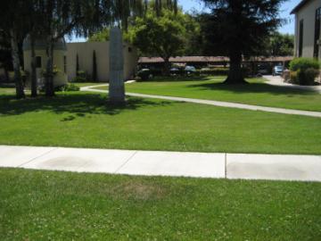 A well-maintained grassy area with trees and pathways surrounded by bushes.