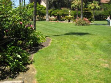 A manicured lawn with plants and trees in 'Mission Gardens E'.