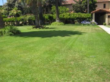 Lush green lawn with trees and bushes in the Mission Gardens.