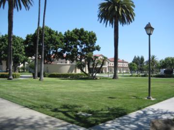 Lawn area with trees and a building in the background.