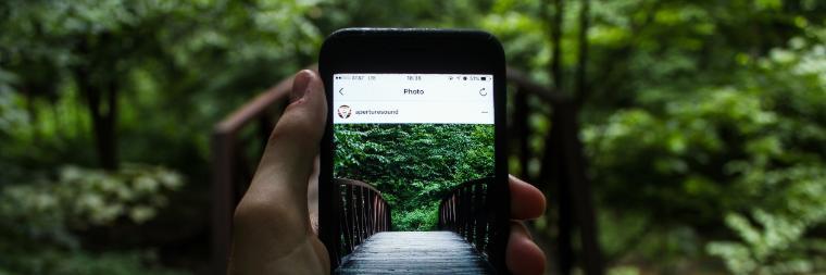 Person holding phone, capturing a forest scene in the background.