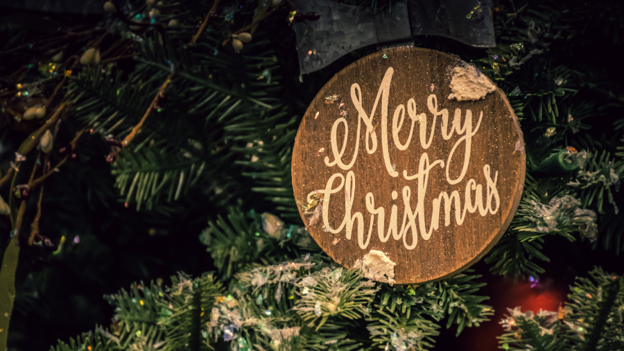 Wooden Christmas ornament deep in a tree that reads 