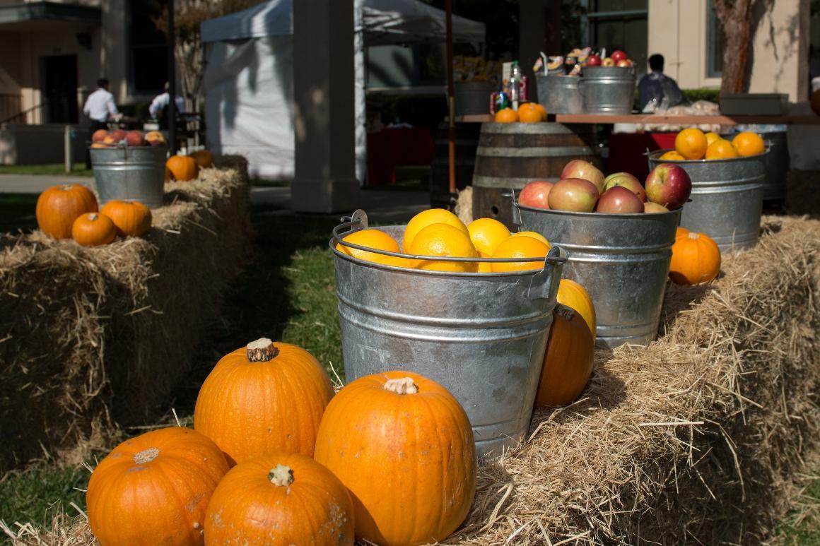 Fall decorations at Family Picnic