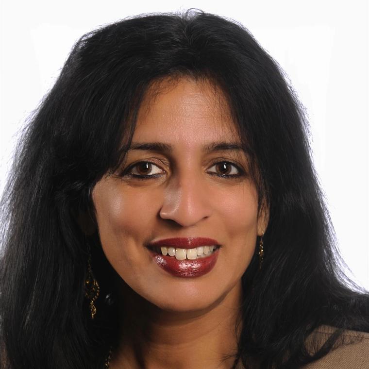 2013 Distinguished Engineering Alumni Award recipient
