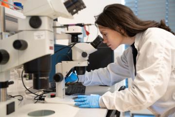 Women graduate student in bioengineering looks through microscope in the bioengineering lab.