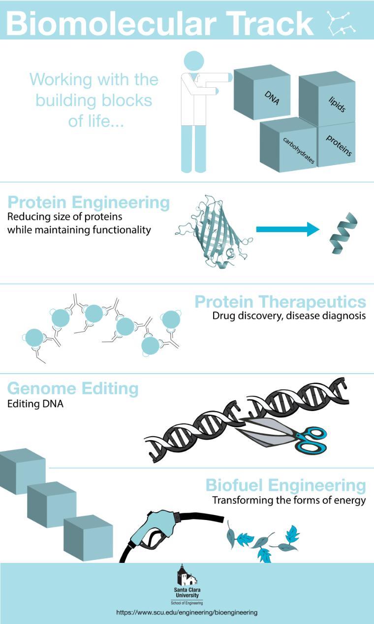 Biomolecular Infographic -  Link to file