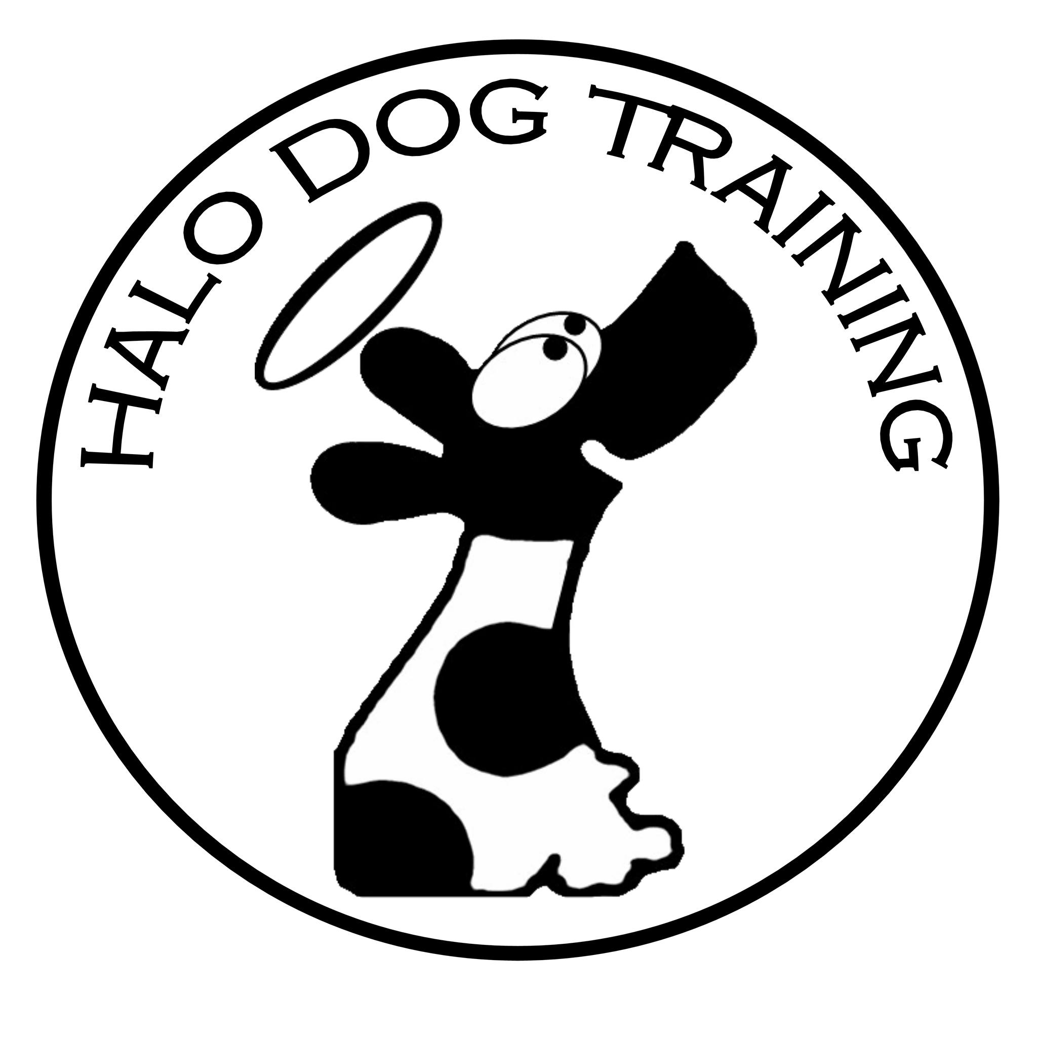 Halo Dog Training