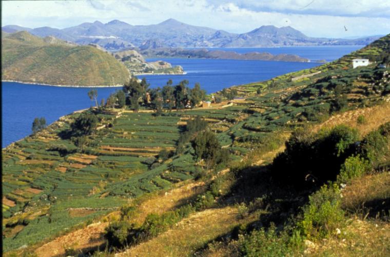 Lake Titicaca shoreline with green hills and mountains in the background.