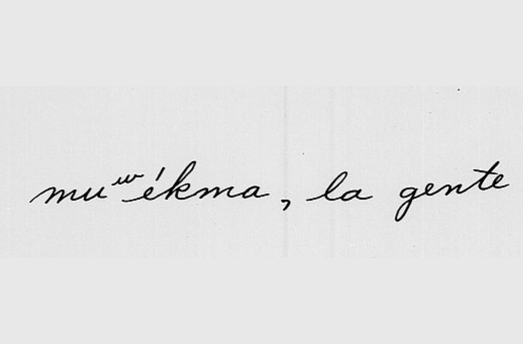 Muwekma Gente Handwritten 