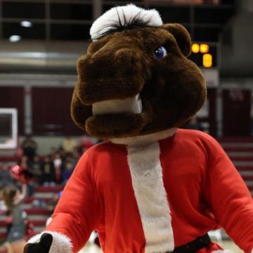 Pull quote illustration