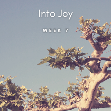 Into Joy 