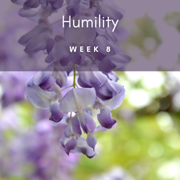 Humility 