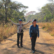 Researchers in Zambia