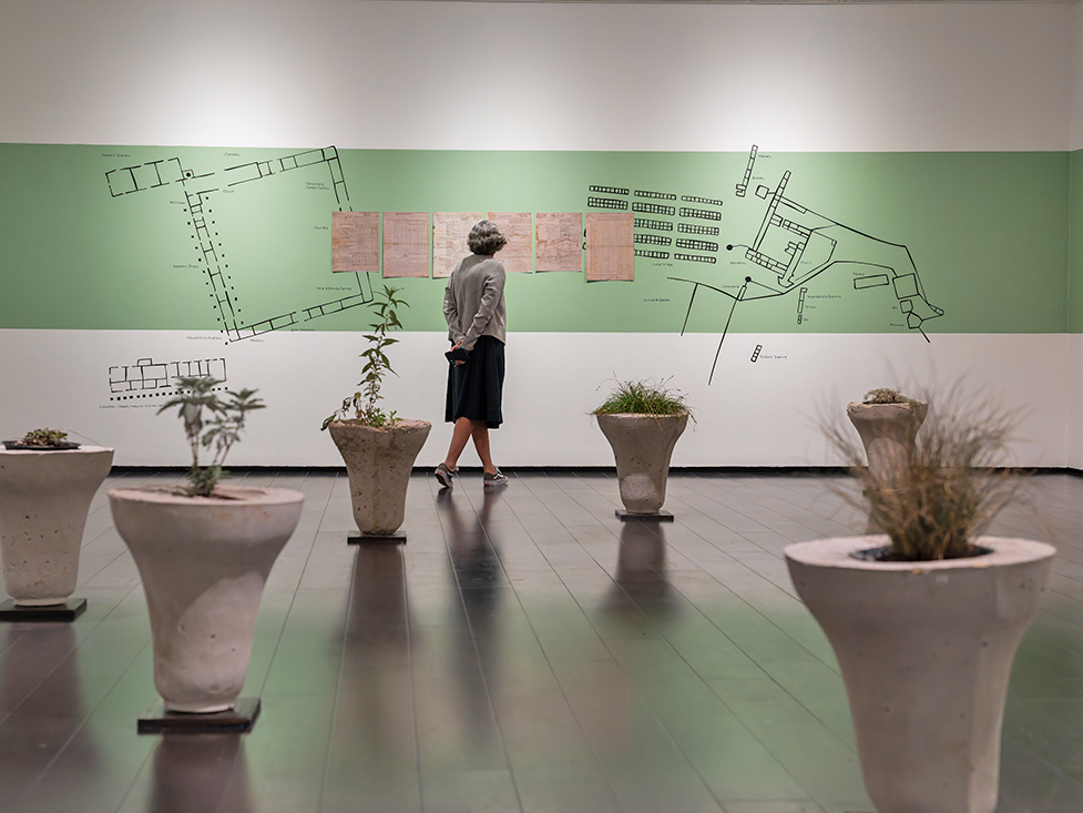 A woman studies old documents on a green gallery wall, with upside-down bell-shaped planters holding native plants and grasses in the foreground.