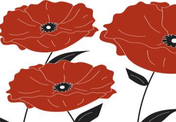 Illustration of red poppies with black centers and green leaves.