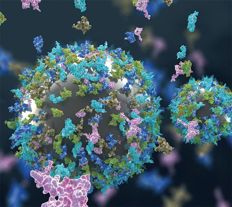 The illustration for the SCU research team’s cover article in Environmental Science Nano depicts nanomaterials interacting with proteins.