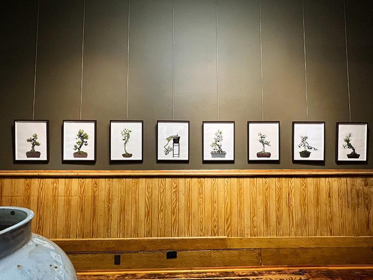 Line of 6 framed bonsai photographs hung on a brown wall with lower wood paneling and the top of a large pale blue floor vase in the bottom left corner