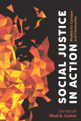 Social Justice in Action book cover