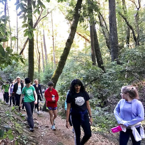 A group of people walking together in a forest. image link to story