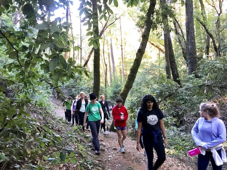 A group of people walking together in a forest. image link to story