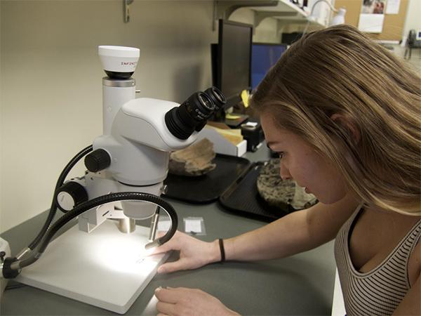 Margaret Sorem (’18) examines an obsidian arrow point.