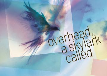 Bird silhouetted on a fractured rainbow background with text 