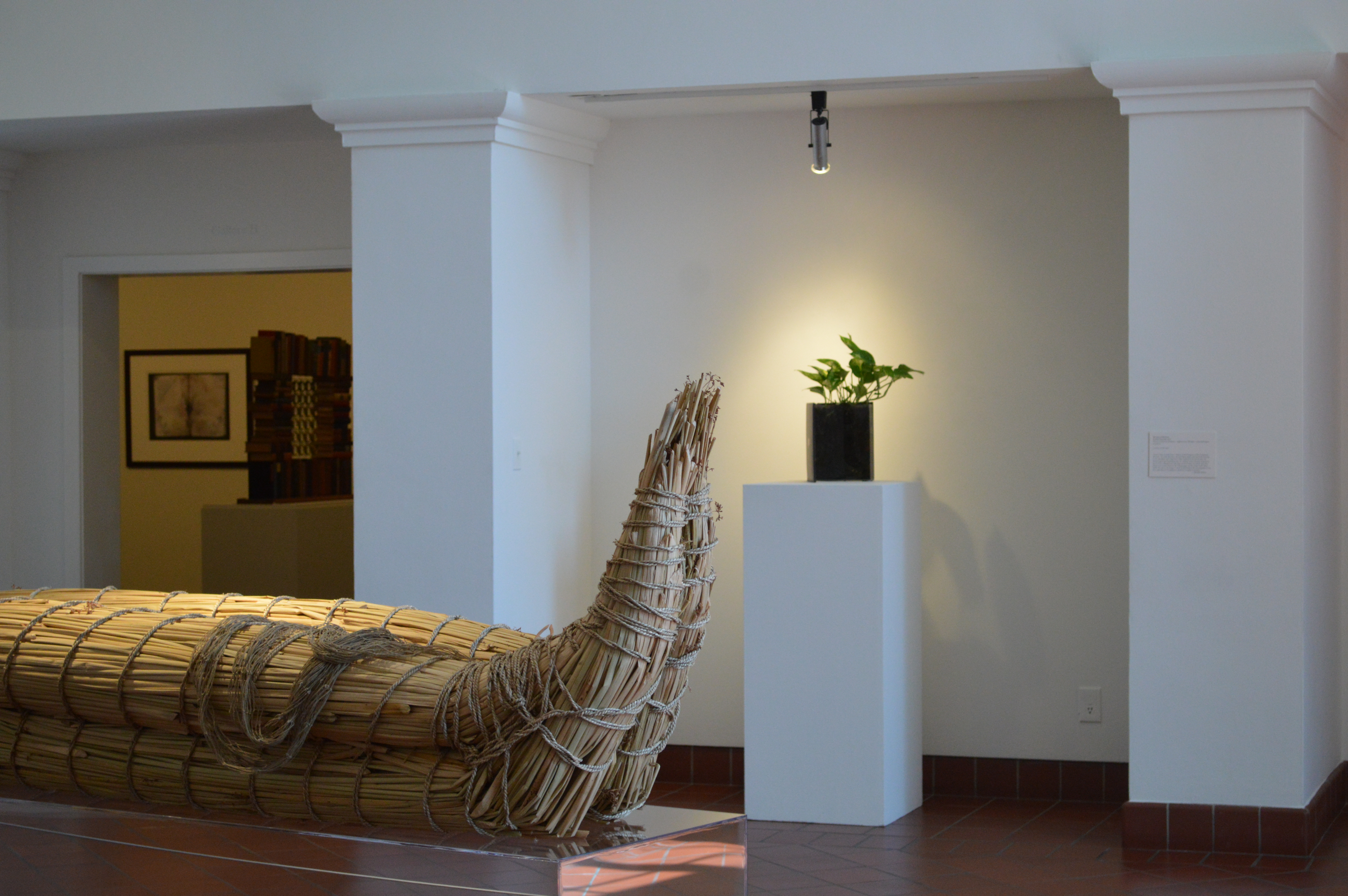 Tule boat with artwork in background featuring a living plant emerging from a book