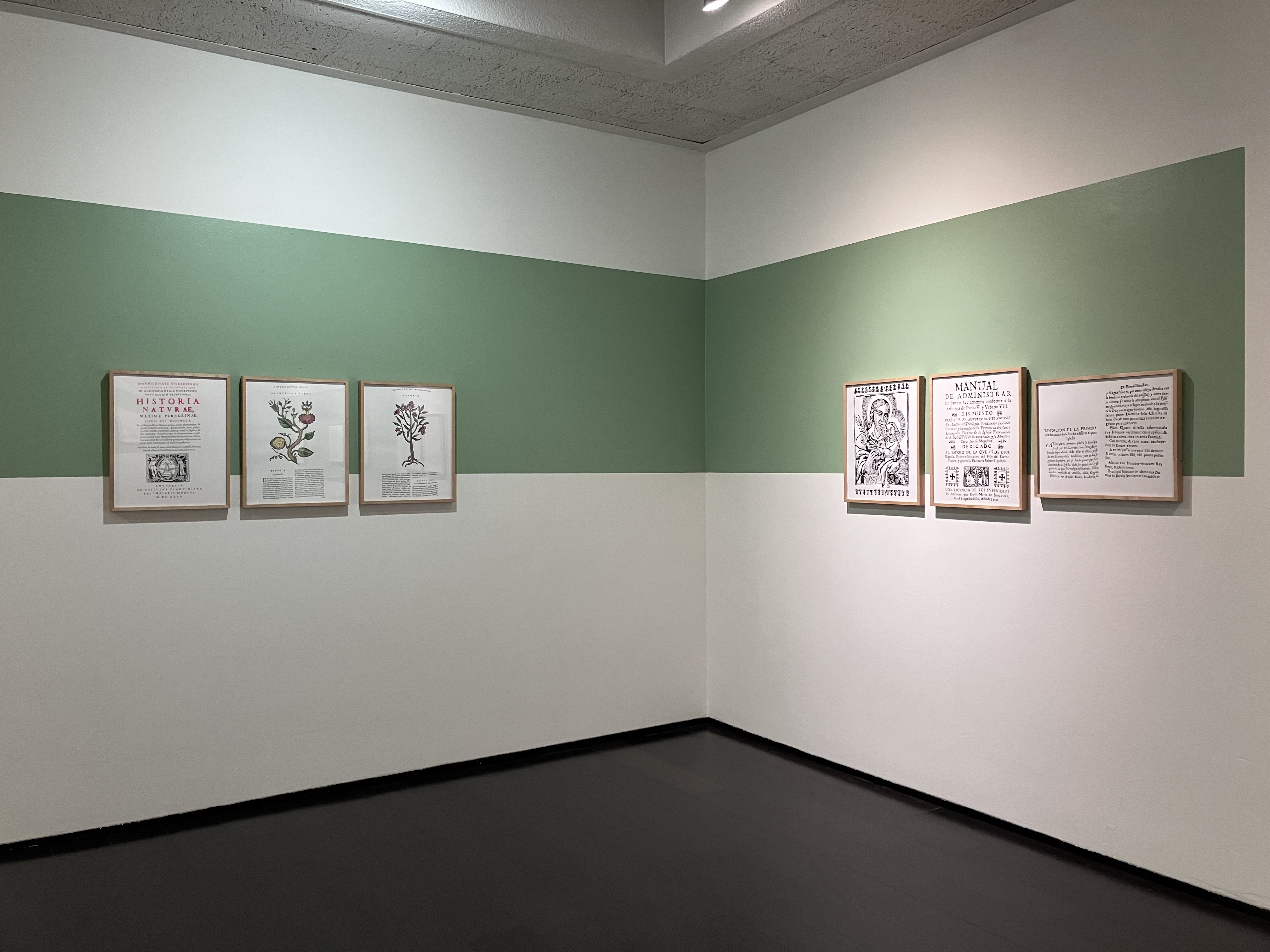 Photograph of gallery walls with framed artworks against white walls with a green band of paint