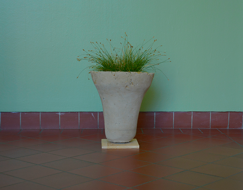 Photograph of Native grass planted in inverted bell made from adobe and cement against a green wall and tile floor