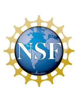 NSF Logo
