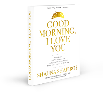 Cover of the book titled Good Morning, I Love You by Shauna Shapiro.