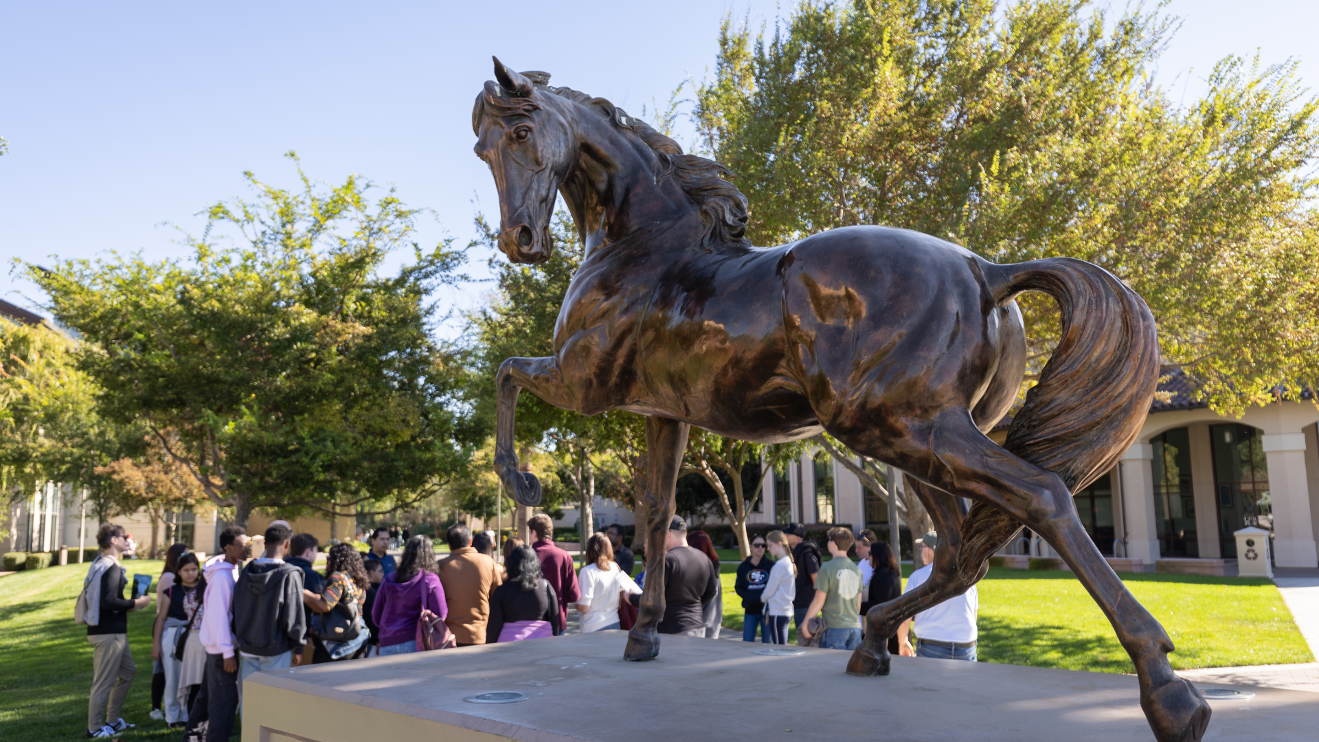 Admission Blog - Transfer