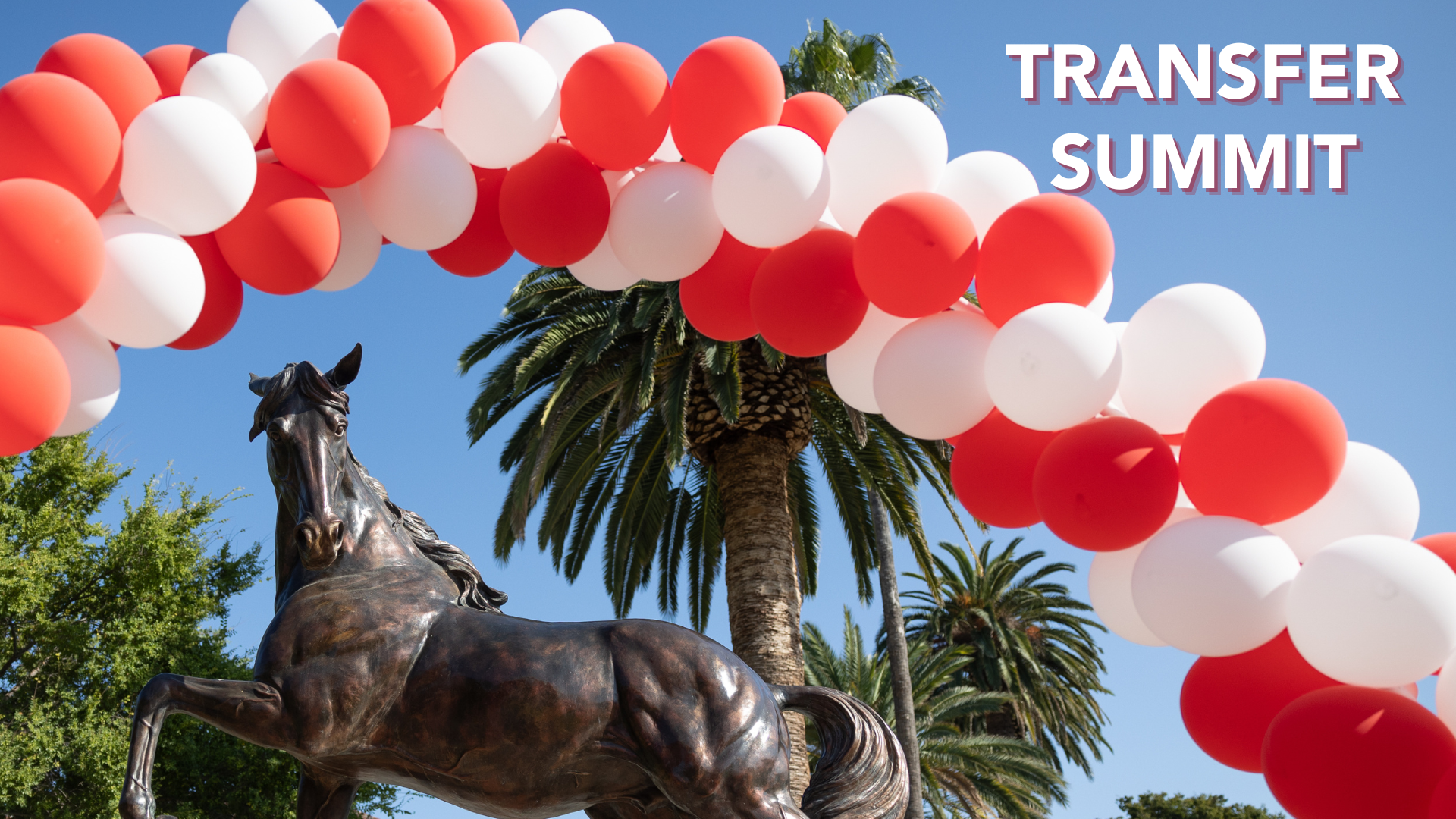 SCU Transfer Summit 2026 