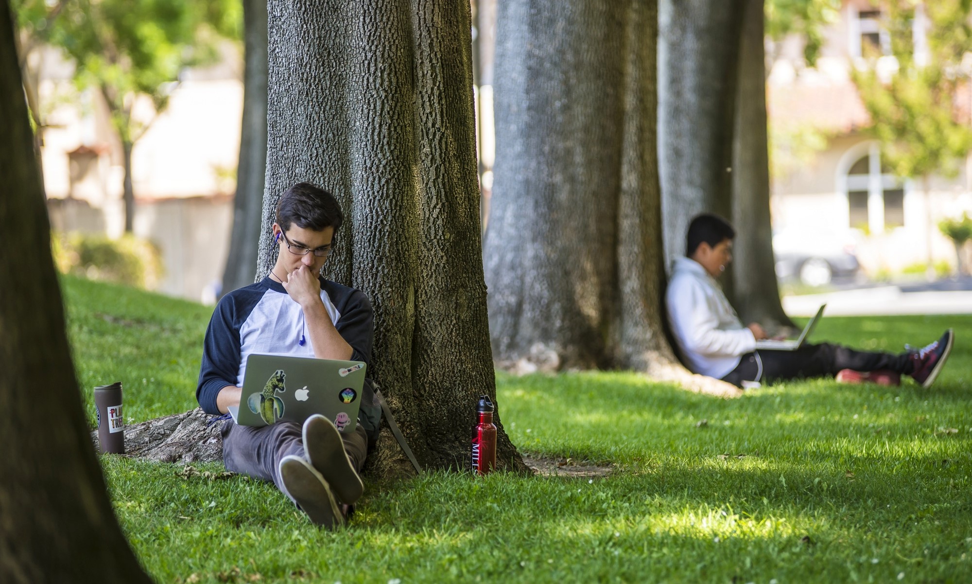 Two people writing essays on laptops while sitting in a park.