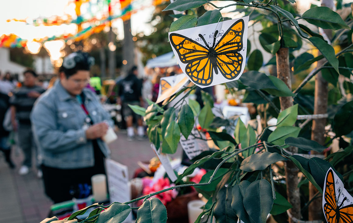 Yesenia Magdaleno Solis prepares her ofrenda and butterfly tree at Camino de los Muertos.