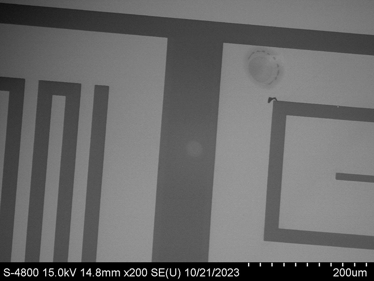 A black and white magnified image of a microchip.