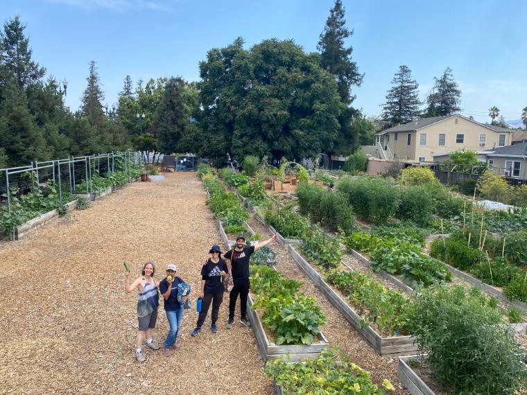 Garden to Table photo 3