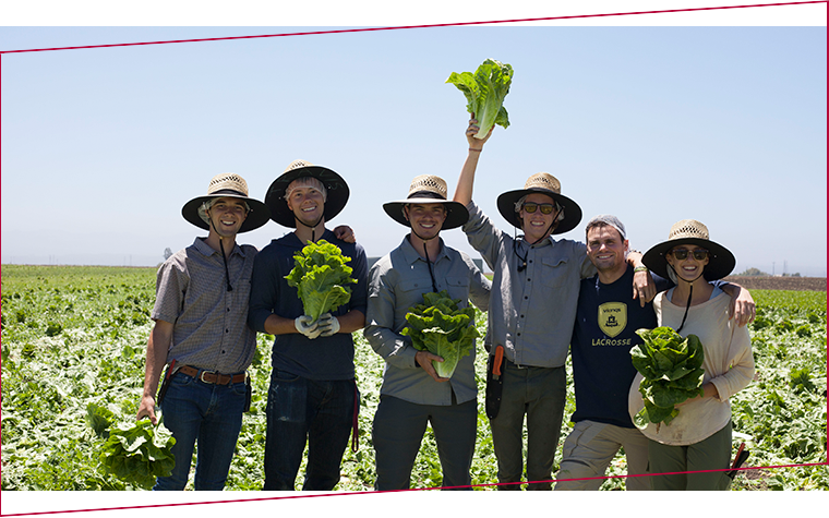 One day plunge placeholder image