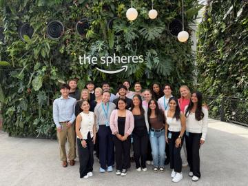 ace prof development