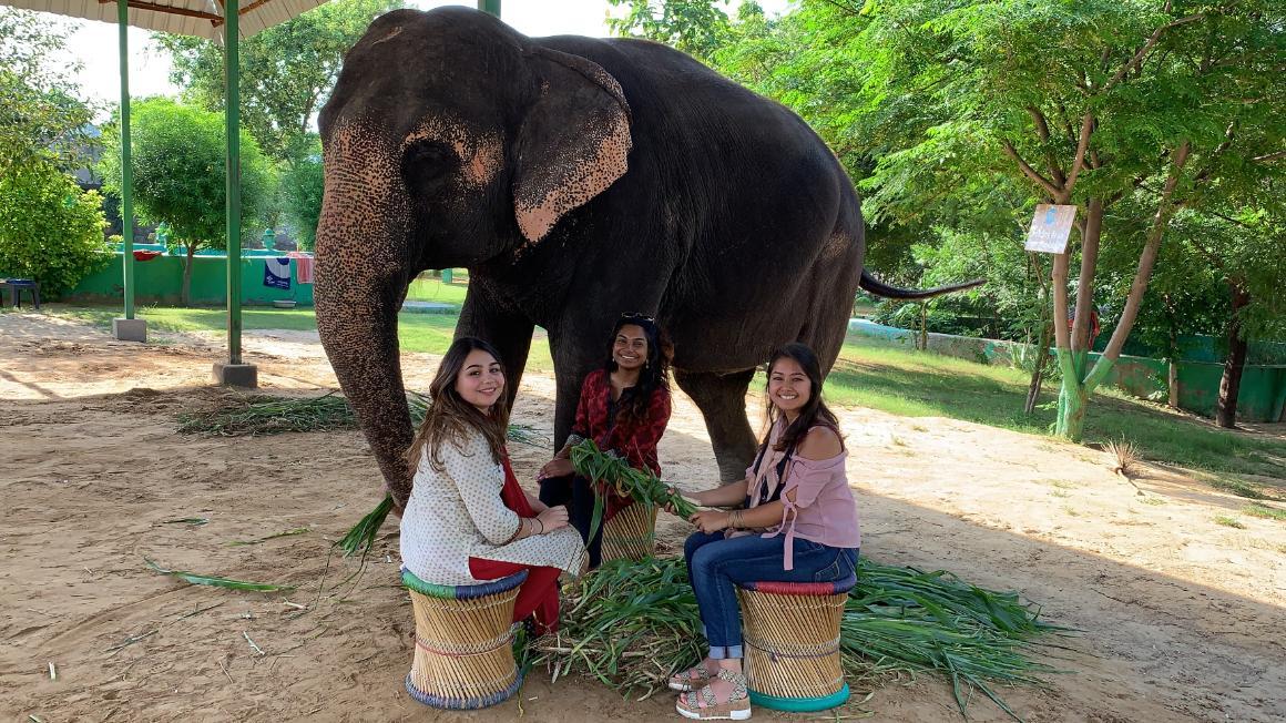 Two people sitting in front of an elephant, outdoors.