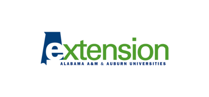 Extension Partner Logo Image