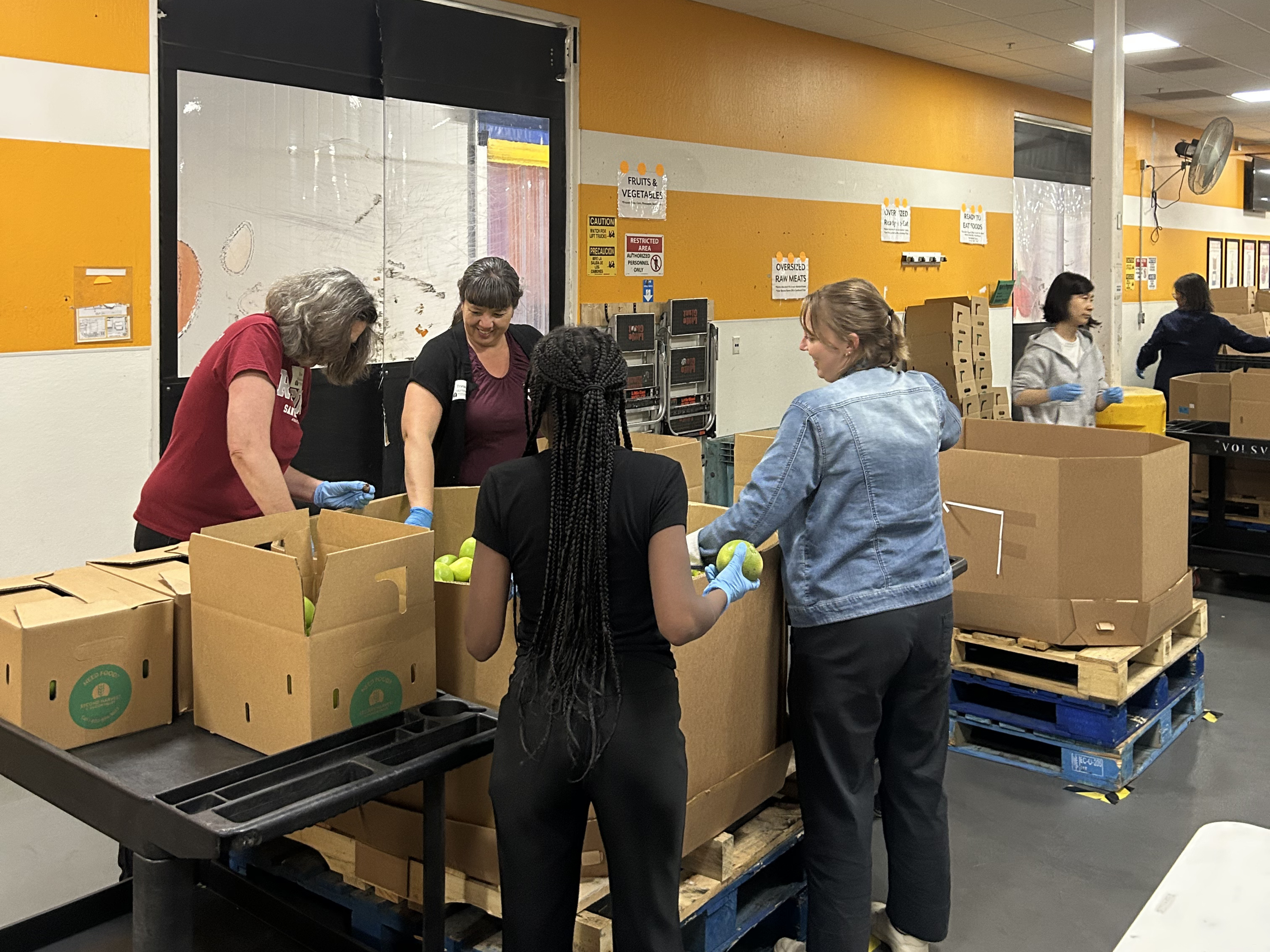 Alumni helping out as a team in second harvest