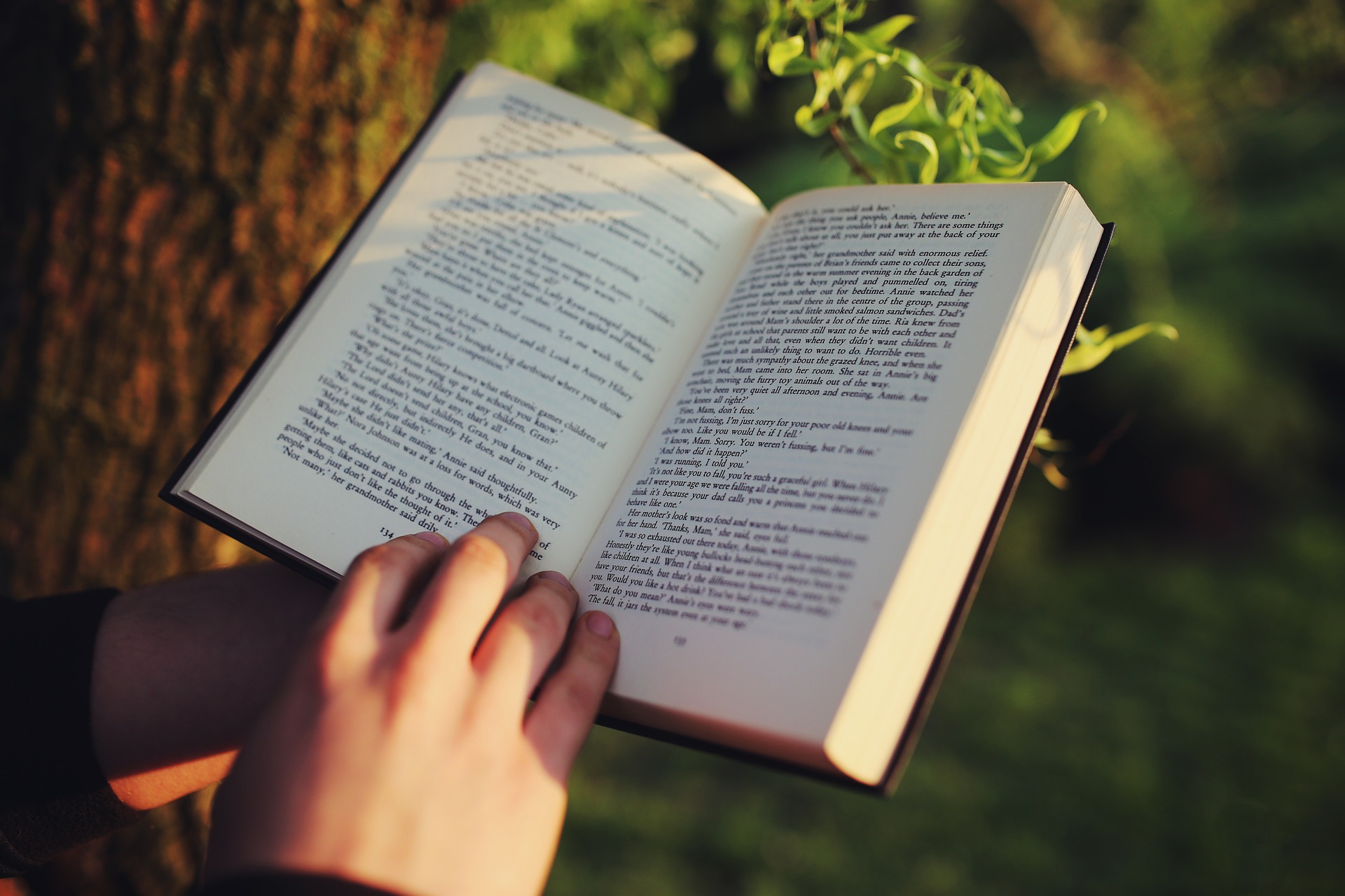 Person reading an open book outdoors by a tree.